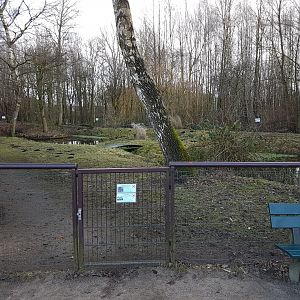 Cereopsis - muntjac-walk-through