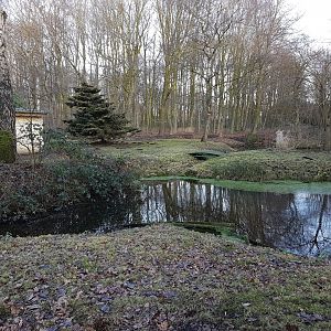 Cereopsis - muntjac-walk-through