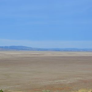 Lake George.  Largest lake in NSW.  Empty.