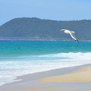 Beach near Forster, NSW