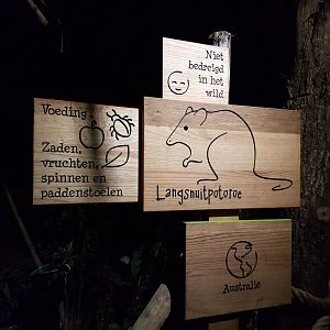 Sign Long-nosed potoroo