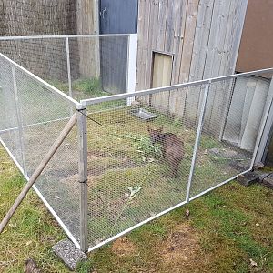 Seperation-cage Southern pudu