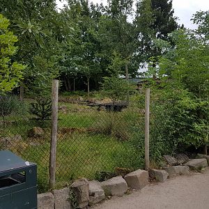 Enclosure Southern pudu