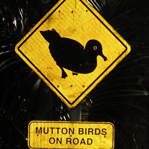 Road sign - Lord Howe Island