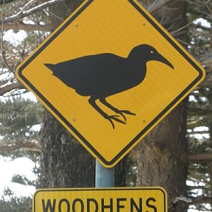 Road sign - Lord Howe Island