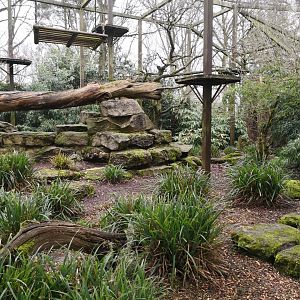 Clouded Leopard Enclosure - CWP