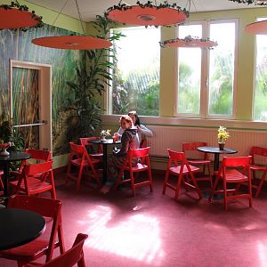 Restaurant - with viewing-windows  to alligator-enclosure