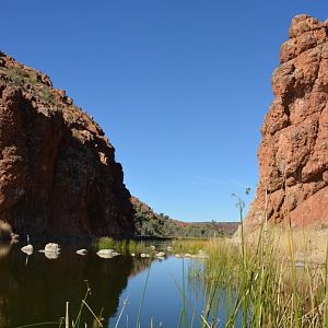Gorge in Central Australia 2