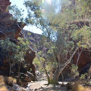 Gorge in Central Australia 3