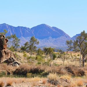 Scene north of Alice Springs