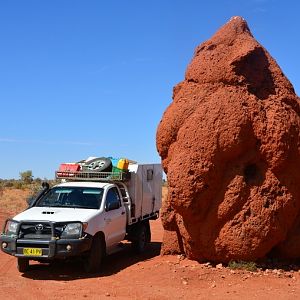 Giant termite mound. NT