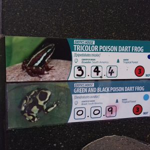 Frog labels
