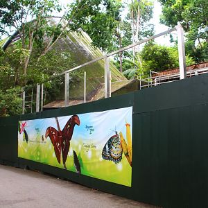 Fragile Forest - New Butterfly Aviary