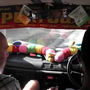 Inside bus. Timor Leste