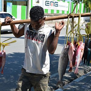 Street fish merchant.  Timor Leste