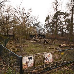 Coati & Peccary enclosure