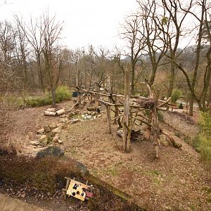 Sloth bear enclosure