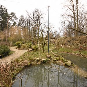 Asian aviary