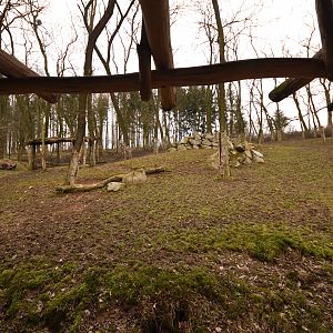 Greater kudu enclosure