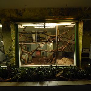 former Gorilla house