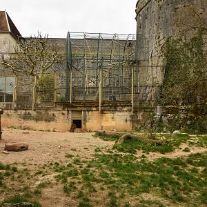 Asian lion enclosure