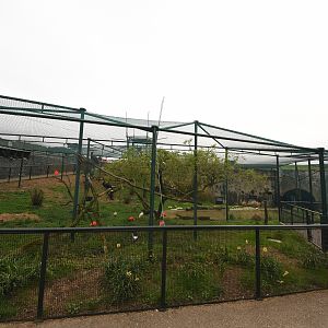 Wader aviary