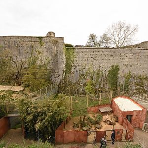 View on Carnivore enclosures