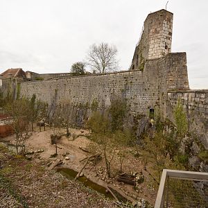 Siberian tiger enclosure