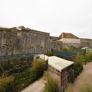 View on monkey cages