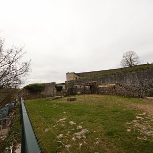 part of Barbary sheep enclosure