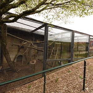 Kea, Hornbill, Cockatoo and Palawan pheasant pigeon aviaries