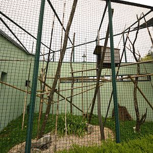 Greater bamboo lemur cage