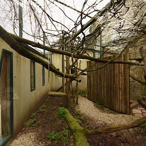 Saki + Pinche tamarin cage