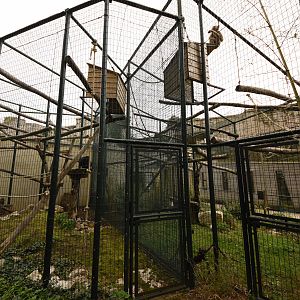 Gibbon cages