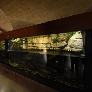 Aquarium example