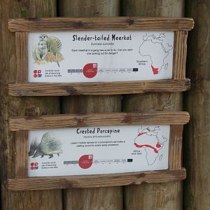 Signage on Meerkat enclosure