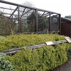 Pied Tamarin Enclosure