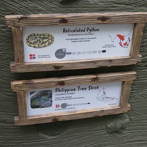 Reticulated Python & Philippine Tree Skink Signage in RORA