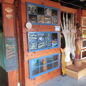 Gift Shop + Aquarium Entrance
