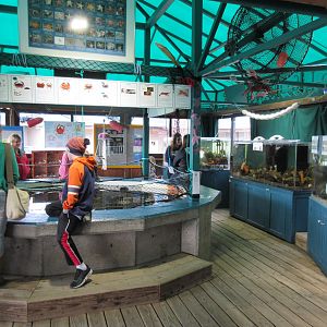 Aquarium (75% of the entire facility)