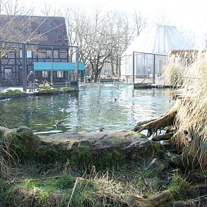 Pond in Penguin-walk-through