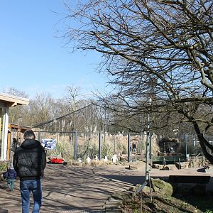 View at Penguin-walk-through