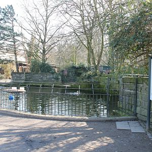 Californian sea-lion enclosure