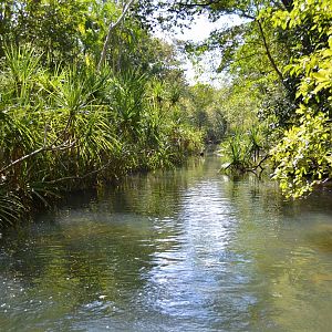 Tempting place for a dip?   Lots of crocodiles!