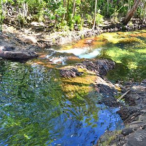 Creek.  Litchfield N/P.  NT