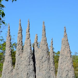 Termite mounds 4.  NT