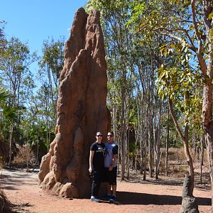 Termite mound 6.  NT
