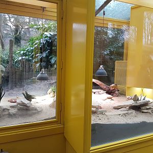 Eguptian tortoise enclosure