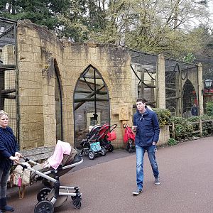 Sunda pig-tailed macaque-enclosure