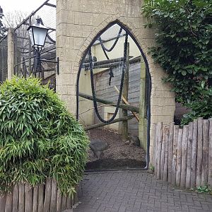 Sunda pig-tailed macaque-enclosure